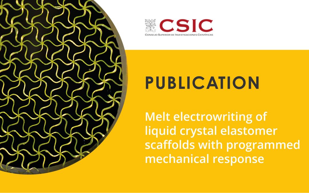 CSIC researchers use melt electrowriting to create a “living” material that could mimic the heartbeat
