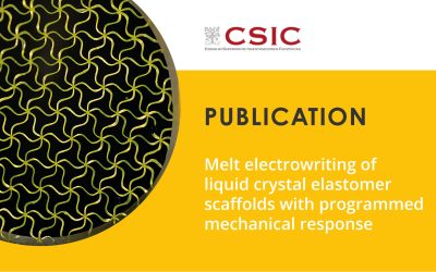 CSIC researchers use melt electrowriting to create a “living” material that could mimic the heartbeat